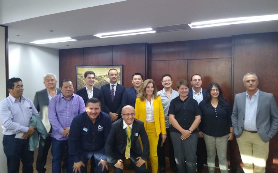 Reunião no MAPA aborda futuro da cultura do Abacate no Brasil