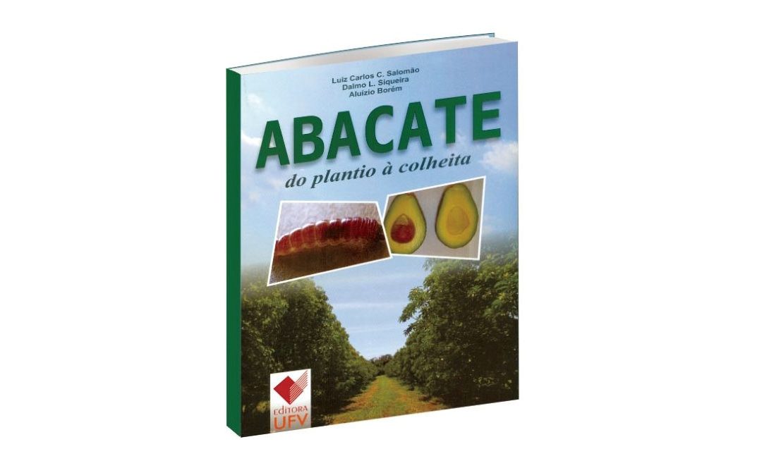 Abacate do Plantio à Colheita