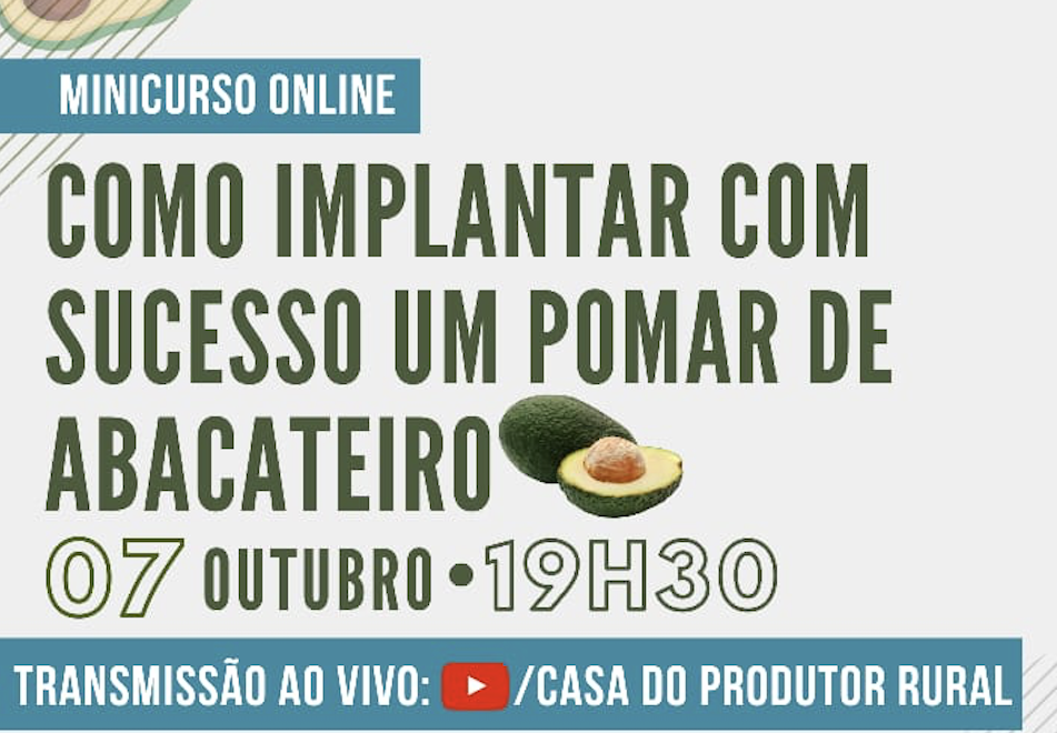Casa do Produtor Rural da Esalq/USP realiza minicurso online sobre a cultura do Abacate