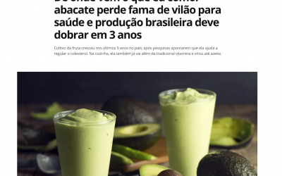 Abacate é destaque no agronegócio brasileiro