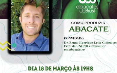A Revista Campo e Negócios e a Associação Abacates do Brasil promovem a live: “Como Produzir Abacate”
