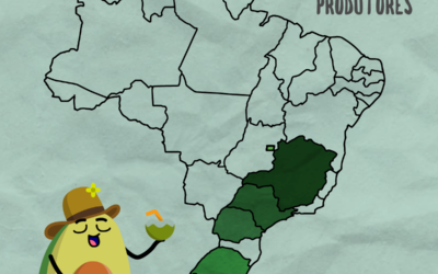 Brasil no cenário mundial de abacate