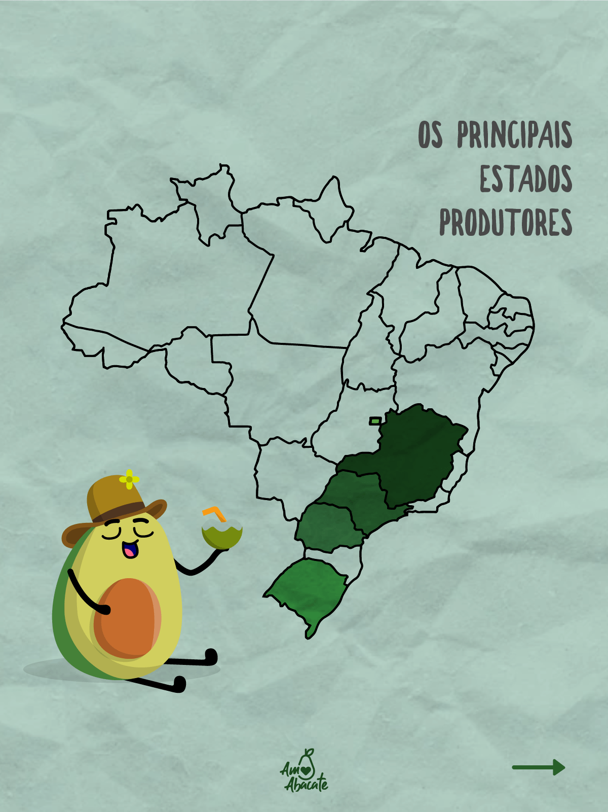 imagem de mapa dos estados mais produtores de abacate do Brasil