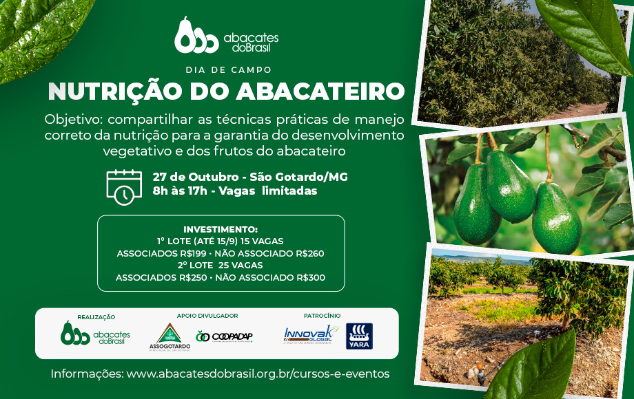 Dia de Campo sobre Nutrição do Abacateiro promovido pela Abacates do Brasil na cidade de São Gotardo/MG