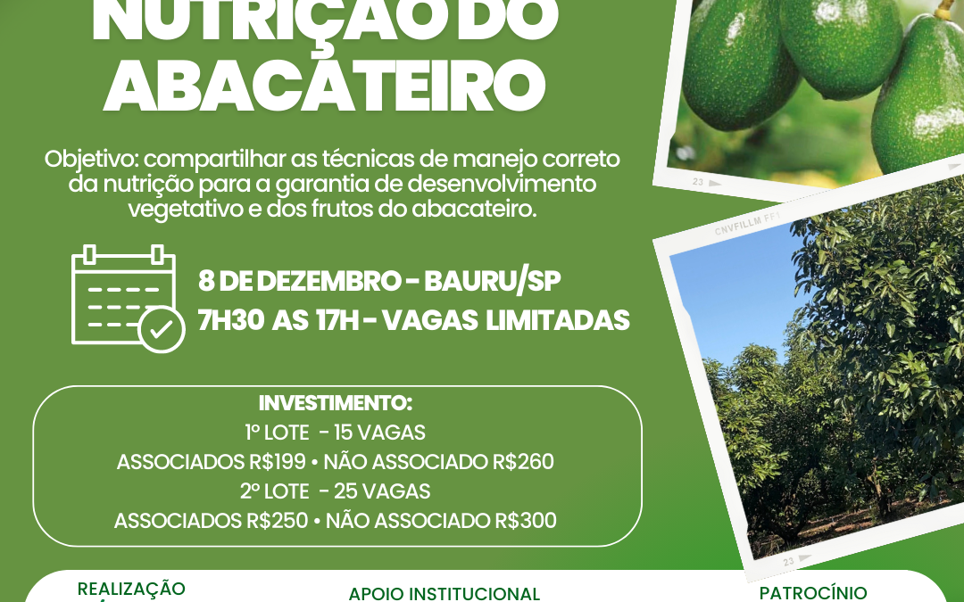 Mais uma edição do Dia de Campo sobre Nutrição do Abacateiro será realizada pela Abacates do Brasil