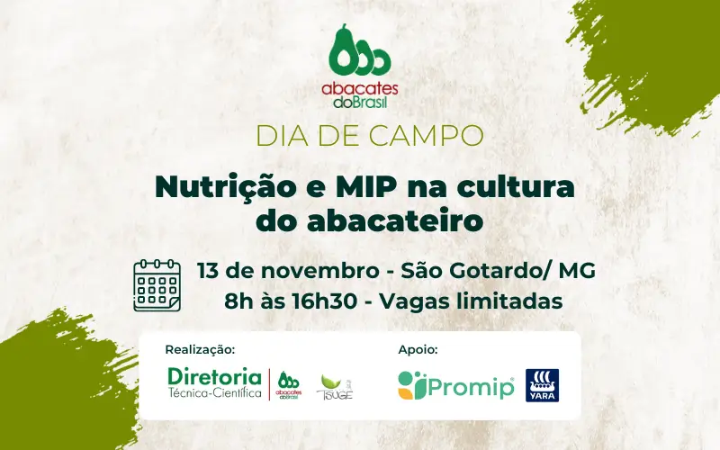 Manejo Integrado de Pragas e Manejo Nutricional na Produção Comercial de Abacates sãos temas de destaque no Dia de Campo promovido pela AAB